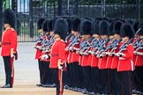 during The Colonel's Review {iptcyear4} (final rehearsal for Trooping the Colour, The Queen's Birthday Parade)  at Horse Guards Parade, Westminster, London, 2 June 2018, 10:45.
