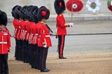 during The Colonel's Review {iptcyear4} (final rehearsal for Trooping the Colour, The Queen's Birthday Parade)  at Horse Guards Parade, Westminster, London, 2 June 2018, 10:45.