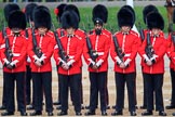 during The Colonel's Review {iptcyear4} (final rehearsal for Trooping the Colour, The Queen's Birthday Parade)  at Horse Guards Parade, Westminster, London, 2 June 2018, 10:48.