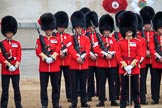 during The Colonel's Review {iptcyear4} (final rehearsal for Trooping the Colour, The Queen's Birthday Parade)  at Horse Guards Parade, Westminster, London, 2 June 2018, 10:54.