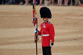 during The Colonel's Review {iptcyear4} (final rehearsal for Trooping the Colour, The Queen's Birthday Parade)  at Horse Guards Parade, Westminster, London, 2 June 2018, 10:57.
