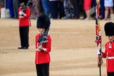 during The Colonel's Review {iptcyear4} (final rehearsal for Trooping the Colour, The Queen's Birthday Parade)  at Horse Guards Parade, Westminster, London, 2 June 2018, 10:57.