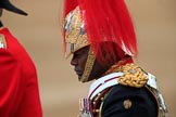 during The Colonel's Review {iptcyear4} (final rehearsal for Trooping the Colour, The Queen's Birthday Parade)  at Horse Guards Parade, Westminster, London, 2 June 2018, 11:01.