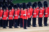 during The Colonel's Review {iptcyear4} (final rehearsal for Trooping the Colour, The Queen's Birthday Parade)  at Horse Guards Parade, Westminster, London, 2 June 2018, 11:07.