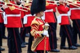 during The Colonel's Review {iptcyear4} (final rehearsal for Trooping the Colour, The Queen's Birthday Parade)  at Horse Guards Parade, Westminster, London, 2 June 2018, 11:08.
