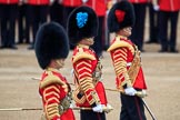 during The Colonel's Review {iptcyear4} (final rehearsal for Trooping the Colour, The Queen's Birthday Parade)  at Horse Guards Parade, Westminster, London, 2 June 2018, 11:08.