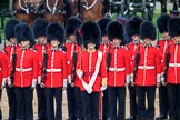 during The Colonel's Review {iptcyear4} (final rehearsal for Trooping the Colour, The Queen's Birthday Parade)  at Horse Guards Parade, Westminster, London, 2 June 2018, 11:10.