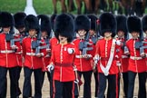 during The Colonel's Review {iptcyear4} (final rehearsal for Trooping the Colour, The Queen's Birthday Parade)  at Horse Guards Parade, Westminster, London, 2 June 2018, 11:17.