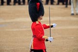 during The Colonel's Review {iptcyear4} (final rehearsal for Trooping the Colour, The Queen's Birthday Parade)  at Horse Guards Parade, Westminster, London, 2 June 2018, 11:18.