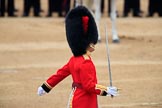 during The Colonel's Review {iptcyear4} (final rehearsal for Trooping the Colour, The Queen's Birthday Parade)  at Horse Guards Parade, Westminster, London, 2 June 2018, 11:18.
