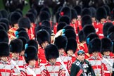 during The Colonel's Review {iptcyear4} (final rehearsal for Trooping the Colour, The Queen's Birthday Parade)  at Horse Guards Parade, Westminster, London, 2 June 2018, 11:19.