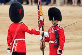 during The Colonel's Review {iptcyear4} (final rehearsal for Trooping the Colour, The Queen's Birthday Parade)  at Horse Guards Parade, Westminster, London, 2 June 2018, 11:20.