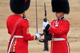 during The Colonel's Review {iptcyear4} (final rehearsal for Trooping the Colour, The Queen's Birthday Parade)  at Horse Guards Parade, Westminster, London, 2 June 2018, 11:20.
