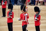 during The Colonel's Review {iptcyear4} (final rehearsal for Trooping the Colour, The Queen's Birthday Parade)  at Horse Guards Parade, Westminster, London, 2 June 2018, 11:20.