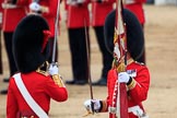 during The Colonel's Review {iptcyear4} (final rehearsal for Trooping the Colour, The Queen's Birthday Parade)  at Horse Guards Parade, Westminster, London, 2 June 2018, 11:20.