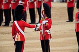 during The Colonel's Review {iptcyear4} (final rehearsal for Trooping the Colour, The Queen's Birthday Parade)  at Horse Guards Parade, Westminster, London, 2 June 2018, 11:20.