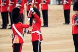 during The Colonel's Review {iptcyear4} (final rehearsal for Trooping the Colour, The Queen's Birthday Parade)  at Horse Guards Parade, Westminster, London, 2 June 2018, 11:21.