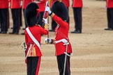 during The Colonel's Review {iptcyear4} (final rehearsal for Trooping the Colour, The Queen's Birthday Parade)  at Horse Guards Parade, Westminster, London, 2 June 2018, 11:21.