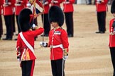 during The Colonel's Review {iptcyear4} (final rehearsal for Trooping the Colour, The Queen's Birthday Parade)  at Horse Guards Parade, Westminster, London, 2 June 2018, 11:21.