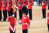 during The Colonel's Review {iptcyear4} (final rehearsal for Trooping the Colour, The Queen's Birthday Parade)  at Horse Guards Parade, Westminster, London, 2 June 2018, 11:21.