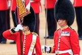 during The Colonel's Review {iptcyear4} (final rehearsal for Trooping the Colour, The Queen's Birthday Parade)  at Horse Guards Parade, Westminster, London, 2 June 2018, 11:21.