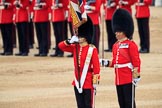 during The Colonel's Review {iptcyear4} (final rehearsal for Trooping the Colour, The Queen's Birthday Parade)  at Horse Guards Parade, Westminster, London, 2 June 2018, 11:21.