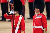 during The Colonel's Review {iptcyear4} (final rehearsal for Trooping the Colour, The Queen's Birthday Parade)  at Horse Guards Parade, Westminster, London, 2 June 2018, 11:21.