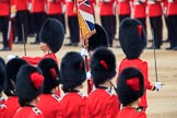during The Colonel's Review {iptcyear4} (final rehearsal for Trooping the Colour, The Queen's Birthday Parade)  at Horse Guards Parade, Westminster, London, 2 June 2018, 11:21.