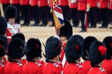 during The Colonel's Review {iptcyear4} (final rehearsal for Trooping the Colour, The Queen's Birthday Parade)  at Horse Guards Parade, Westminster, London, 2 June 2018, 11:21.
