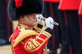 during The Colonel's Review {iptcyear4} (final rehearsal for Trooping the Colour, The Queen's Birthday Parade)  at Horse Guards Parade, Westminster, London, 2 June 2018, 11:23.