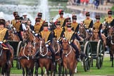during The Colonel's Review {iptcyear4} (final rehearsal for Trooping the Colour, The Queen's Birthday Parade)  at Horse Guards Parade, Westminster, London, 2 June 2018, 11:24.