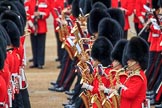 during The Colonel's Review {iptcyear4} (final rehearsal for Trooping the Colour, The Queen's Birthday Parade)  at Horse Guards Parade, Westminster, London, 2 June 2018, 11:25.