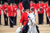 during The Colonel's Review {iptcyear4} (final rehearsal for Trooping the Colour, The Queen's Birthday Parade)  at Horse Guards Parade, Westminster, London, 2 June 2018, 11:26.