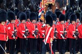 during The Colonel's Review {iptcyear4} (final rehearsal for Trooping the Colour, The Queen's Birthday Parade)  at Horse Guards Parade, Westminster, London, 2 June 2018, 11:26.