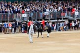 during The Colonel's Review {iptcyear4} (final rehearsal for Trooping the Colour, The Queen's Birthday Parade)  at Horse Guards Parade, Westminster, London, 2 June 2018, 11:34.