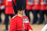 during The Colonel's Review {iptcyear4} (final rehearsal for Trooping the Colour, The Queen's Birthday Parade)  at Horse Guards Parade, Westminster, London, 2 June 2018, 11:35.