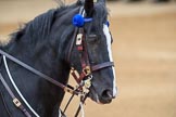 during The Colonel's Review {iptcyear4} (final rehearsal for Trooping the Colour, The Queen's Birthday Parade)  at Horse Guards Parade, Westminster, London, 2 June 2018, 11:35.