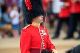 during The Colonel's Review {iptcyear4} (final rehearsal for Trooping the Colour, The Queen's Birthday Parade)  at Horse Guards Parade, Westminster, London, 2 June 2018, 11:35.