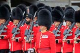during The Colonel's Review {iptcyear4} (final rehearsal for Trooping the Colour, The Queen's Birthday Parade)  at Horse Guards Parade, Westminster, London, 2 June 2018, 11:35.