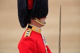 during The Colonel's Review {iptcyear4} (final rehearsal for Trooping the Colour, The Queen's Birthday Parade)  at Horse Guards Parade, Westminster, London, 2 June 2018, 11:35.
