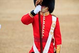 during The Colonel's Review {iptcyear4} (final rehearsal for Trooping the Colour, The Queen's Birthday Parade)  at Horse Guards Parade, Westminster, London, 2 June 2018, 11:36.