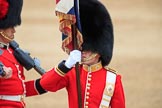 during The Colonel's Review {iptcyear4} (final rehearsal for Trooping the Colour, The Queen's Birthday Parade)  at Horse Guards Parade, Westminster, London, 2 June 2018, 11:36.