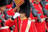 during The Colonel's Review {iptcyear4} (final rehearsal for Trooping the Colour, The Queen's Birthday Parade)  at Horse Guards Parade, Westminster, London, 2 June 2018, 11:36.