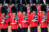 during The Colonel's Review {iptcyear4} (final rehearsal for Trooping the Colour, The Queen's Birthday Parade)  at Horse Guards Parade, Westminster, London, 2 June 2018, 11:36.