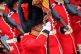 during The Colonel's Review {iptcyear4} (final rehearsal for Trooping the Colour, The Queen's Birthday Parade)  at Horse Guards Parade, Westminster, London, 2 June 2018, 11:37.