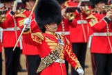 during The Colonel's Review {iptcyear4} (final rehearsal for Trooping the Colour, The Queen's Birthday Parade)  at Horse Guards Parade, Westminster, London, 2 June 2018, 11:43.