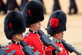 during The Colonel's Review {iptcyear4} (final rehearsal for Trooping the Colour, The Queen's Birthday Parade)  at Horse Guards Parade, Westminster, London, 2 June 2018, 11:46.