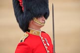 during The Colonel's Review {iptcyear4} (final rehearsal for Trooping the Colour, The Queen's Birthday Parade)  at Horse Guards Parade, Westminster, London, 2 June 2018, 11:48.