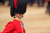 during The Colonel's Review {iptcyear4} (final rehearsal for Trooping the Colour, The Queen's Birthday Parade)  at Horse Guards Parade, Westminster, London, 2 June 2018, 11:49.
