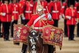 during The Colonel's Review {iptcyear4} (final rehearsal for Trooping the Colour, The Queen's Birthday Parade)  at Horse Guards Parade, Westminster, London, 2 June 2018, 11:56.